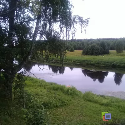 Участок в Ленинградской области, в деревне Кулаково (10 соток)