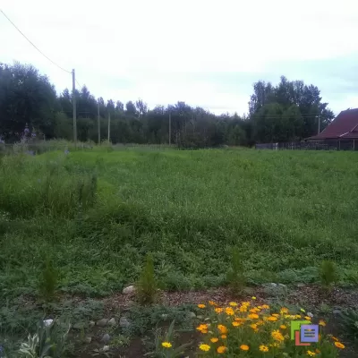 Участок в Ленинградской области, в деревне Кулаково (10 соток) фото №4