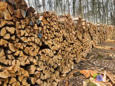 Березовые дрова колотые, в чурках. фото №3