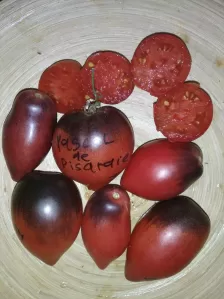 Семена экзотических ( и не только) сортов томатов, а также перца, баклажан, капусты. фото №3