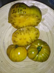 Семена экзотических ( и не только) сортов томатов, а также перца, баклажан, капусты. фото №5