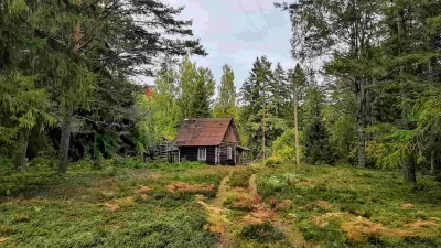 Домик на эстонском хуторе в хвойном лесу под Старым Изборском фото №6