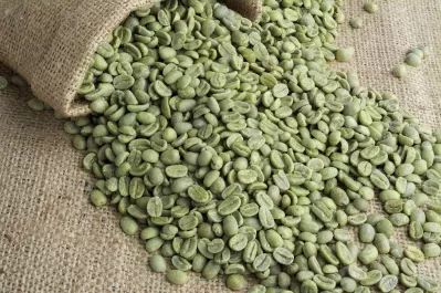 Импорт зеленого кофе в зёрнах напрямую от производителя
