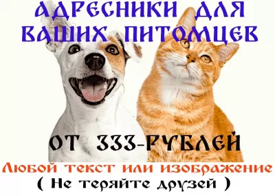 Адресные жетоны для кошек и собак с гравировкой фото №2