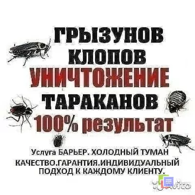 Уничтожение насекомых. Дезинфекция